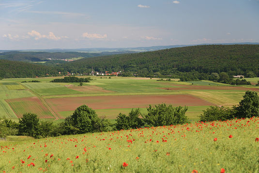 Ein Traum - sich in herrlicher Natur verausgaben.